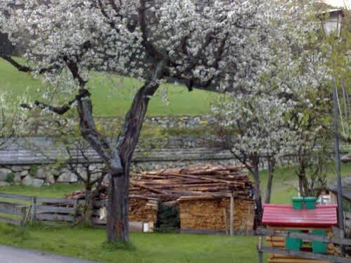 Residence Schneiderhof 圣坎迪朵 外观 照片